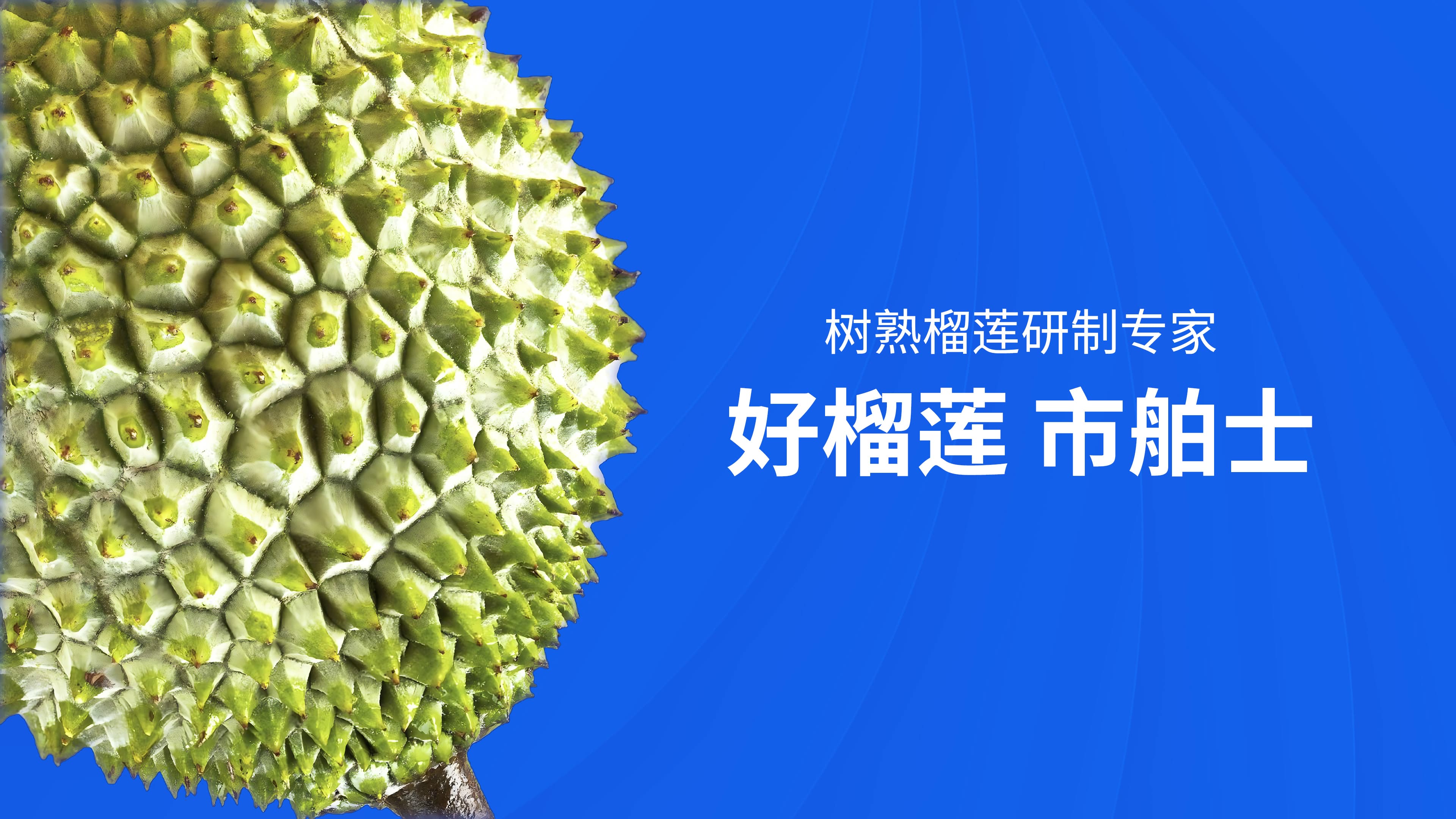 好榴莲,市舶士树熟榴莲研制专家